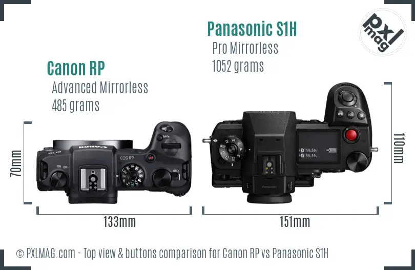 Canon RP vs Panasonic S1H top view buttons comparison