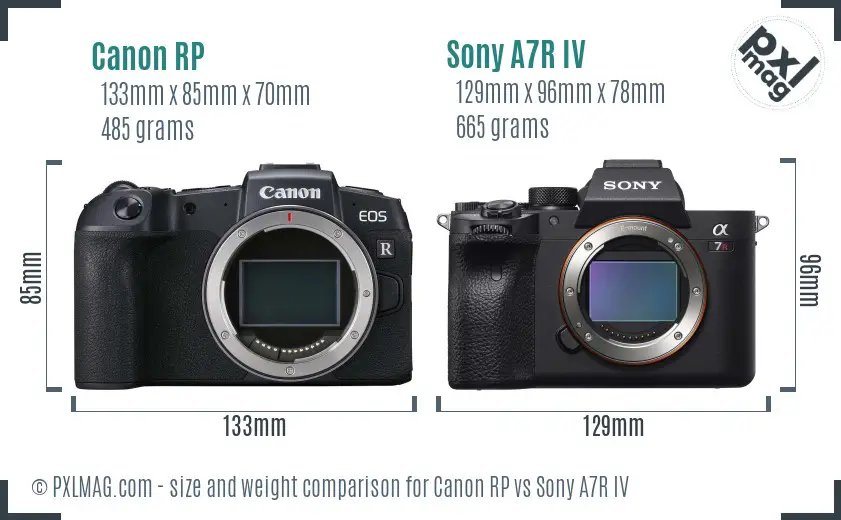 Canon RP vs Sony A7R IV size comparison Canon RP vs Sony A7R IV size comparison