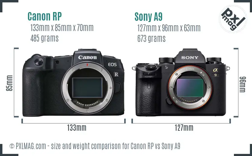 Canon RP vs Sony A9 size comparison