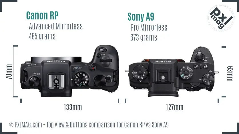 Canon RP vs Sony A9 top view buttons comparison