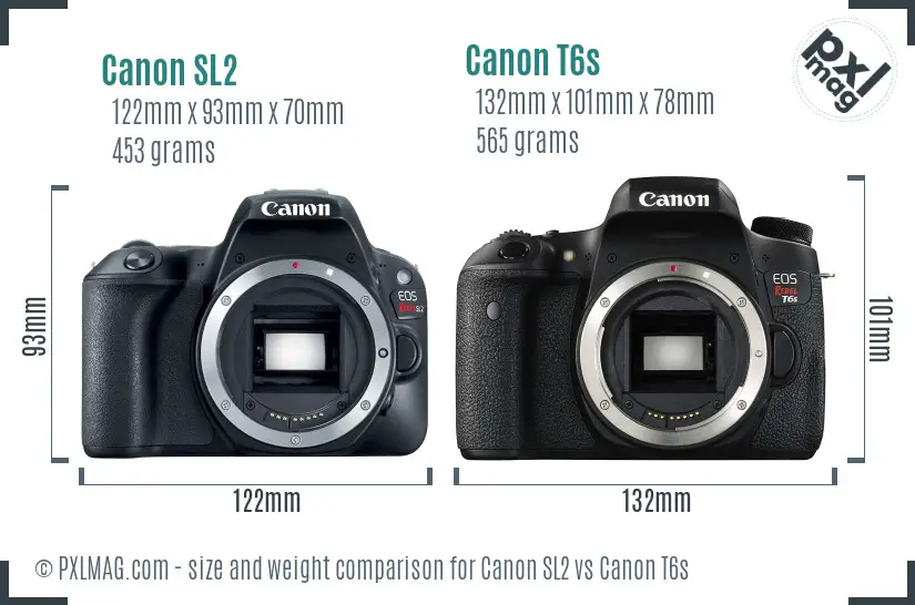 Canon SL2 vs Canon T6s size comparison