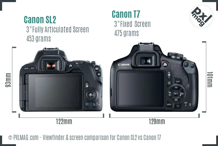 Canon SL2 vs Canon T7 Screen and Viewfinder comparison