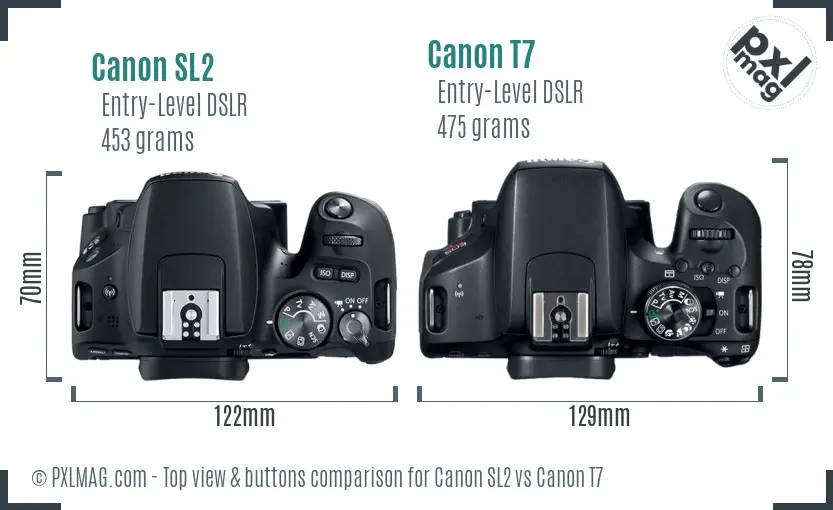 Canon SL2 vs Canon T7 top view buttons comparison