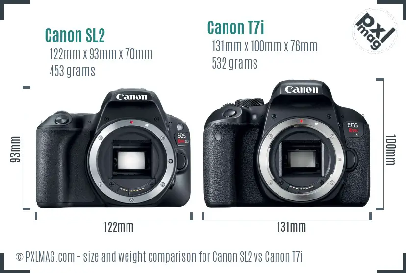 Canon SL2 vs Canon T7i size comparison