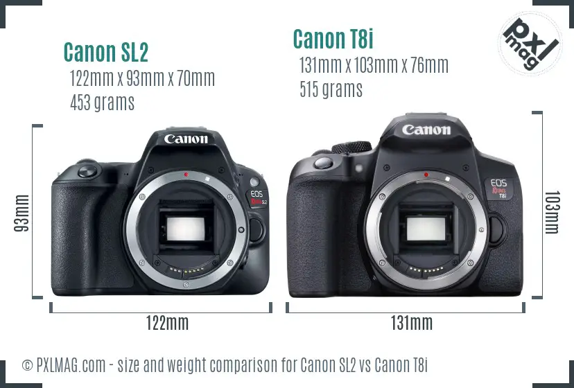 Canon SL2 vs Canon T8i size comparison