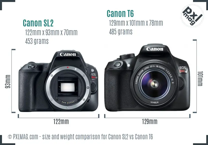 Canon SL2 vs Canon T6 size comparison