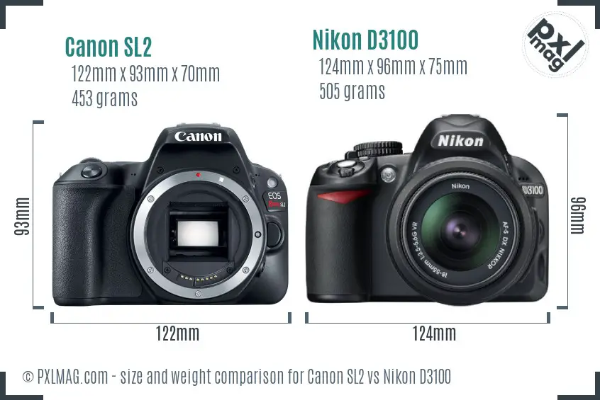 Canon SL2 vs Nikon D3100 size comparison