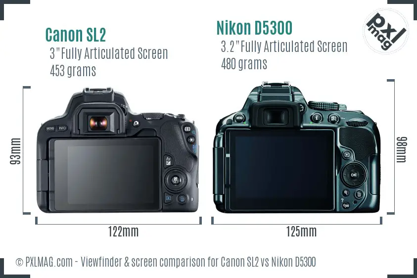 Canon SL2 vs Nikon D5300 Screen and Viewfinder comparison