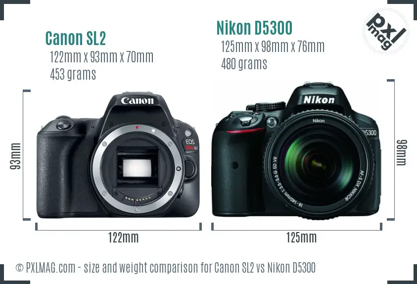 Canon SL2 vs Nikon D5300 size comparison