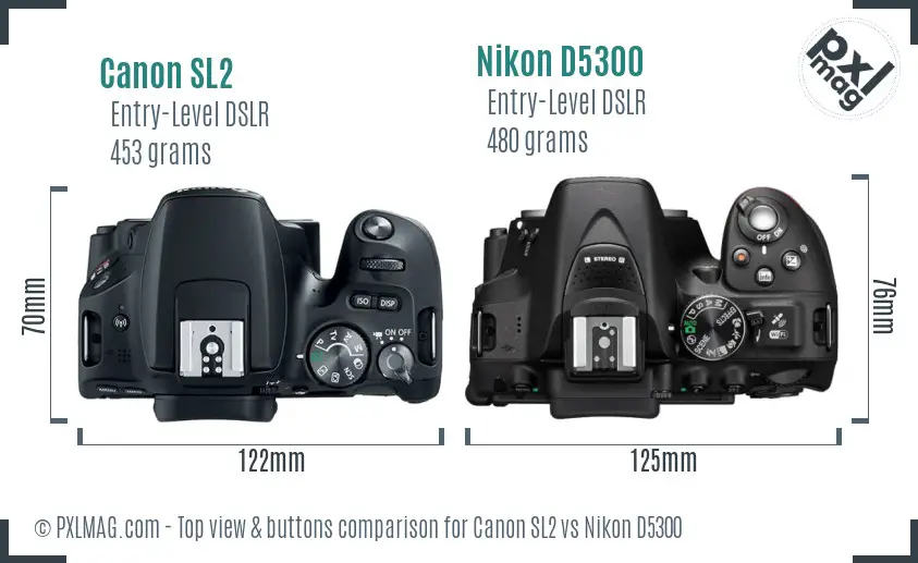 Canon SL2 vs Nikon D5300 top view buttons comparison