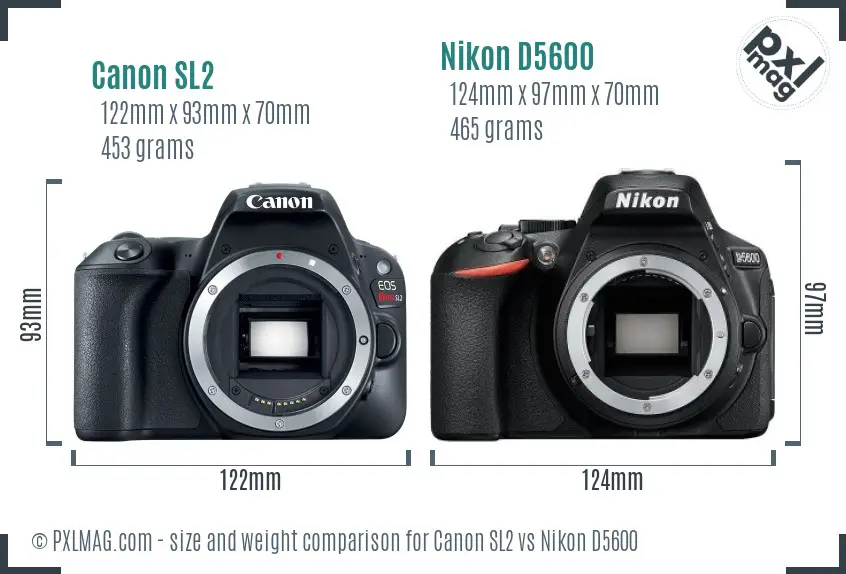 Canon SL2 vs Nikon D5600 size comparison