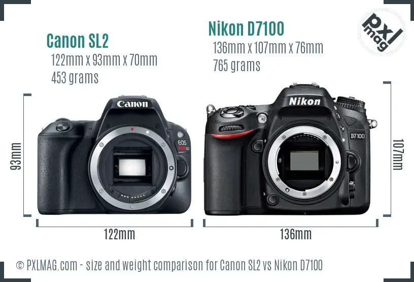 Canon SL2 vs Nikon D7100 size comparison Canon SL2 vs Nikon D7100 size comparison