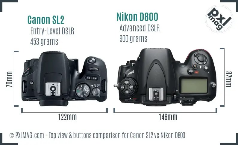 Canon SL2 vs Nikon D800 top view buttons comparison