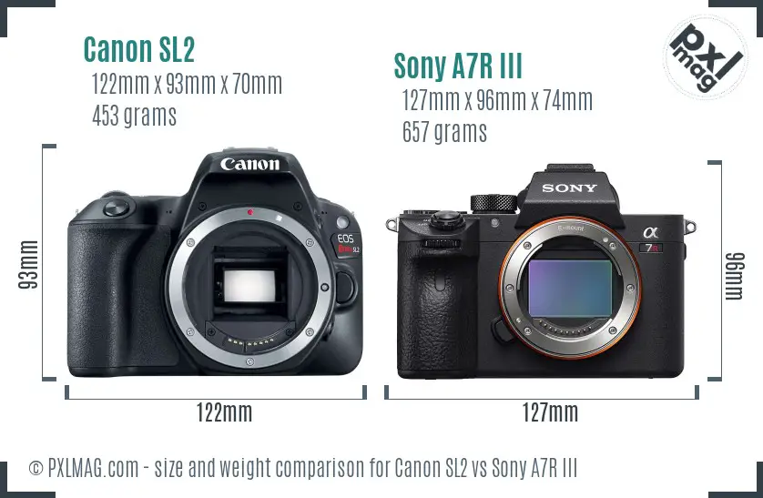 Canon SL2 vs Sony A7R III size comparison