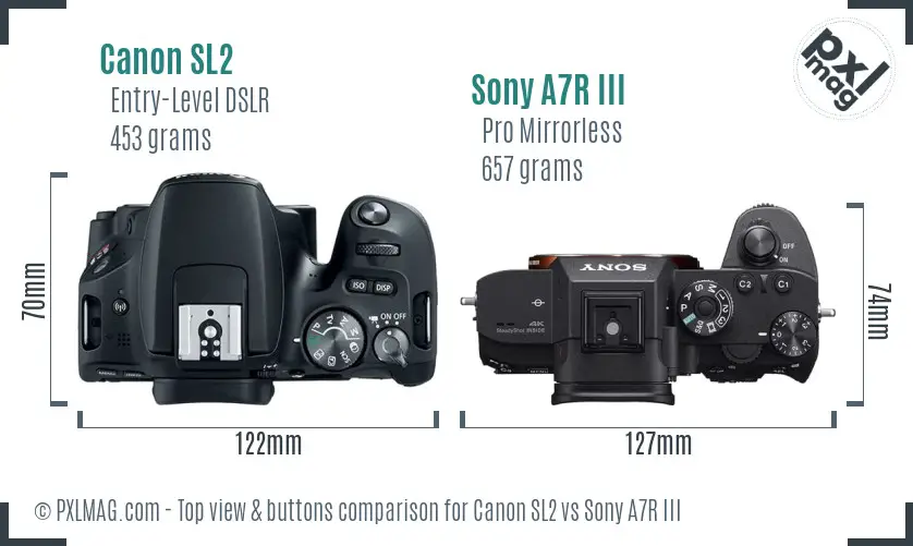Canon SL2 vs Sony A7R III top view buttons comparison