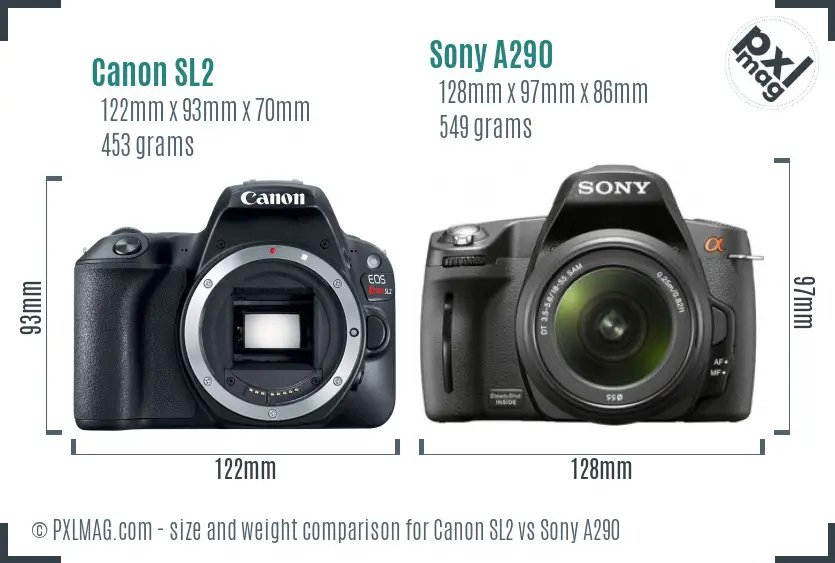 Canon SL2 vs Sony A290 size comparison