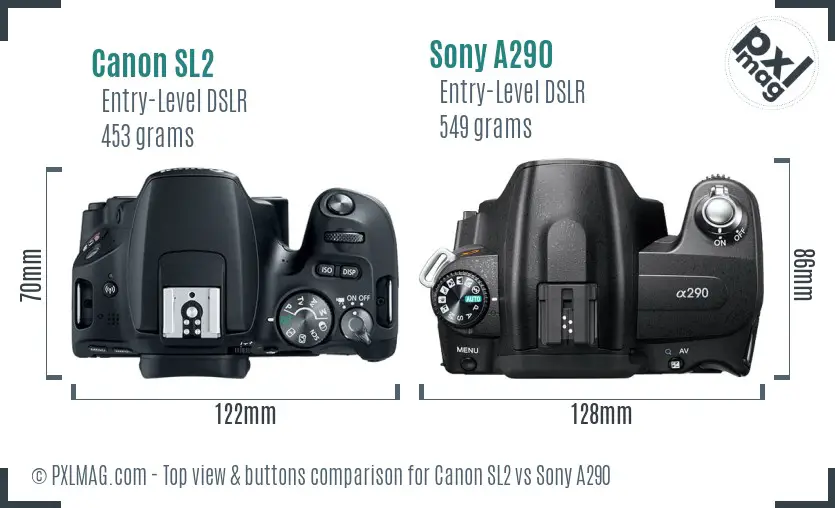 Canon SL2 vs Sony A290 top view buttons comparison