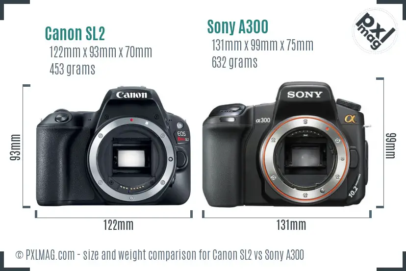 Canon SL2 vs Sony A300 size comparison