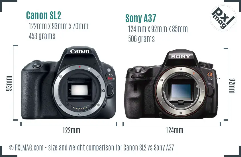 Canon SL2 vs Sony A37 size comparison