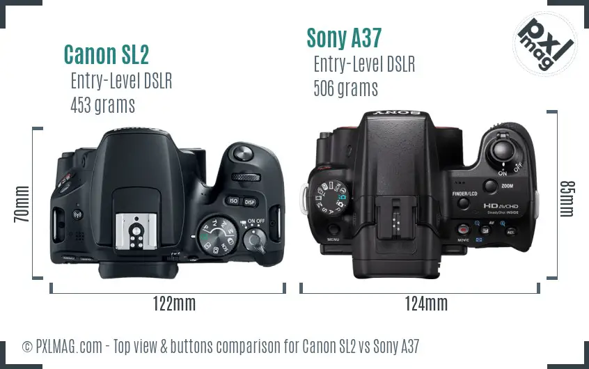 Canon SL2 vs Sony A37 top view buttons comparison