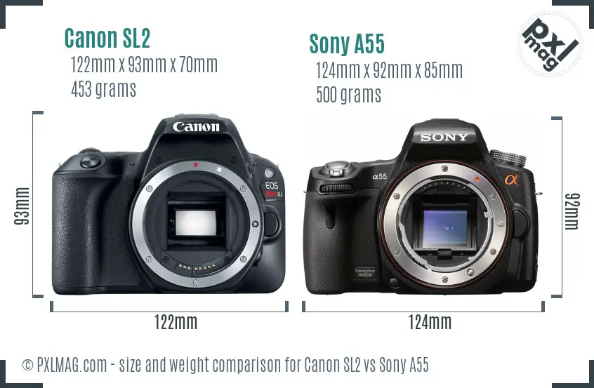 Canon SL2 vs Sony A55 size comparison
