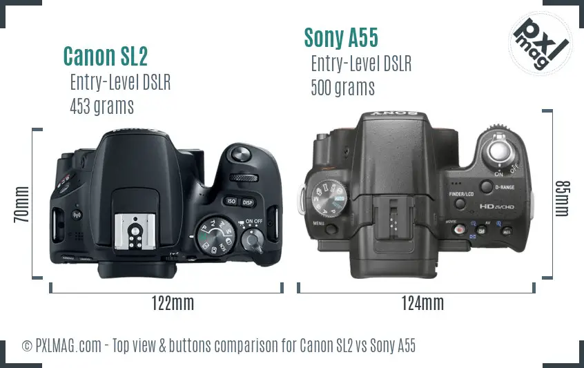 Canon SL2 vs Sony A55 top view buttons comparison