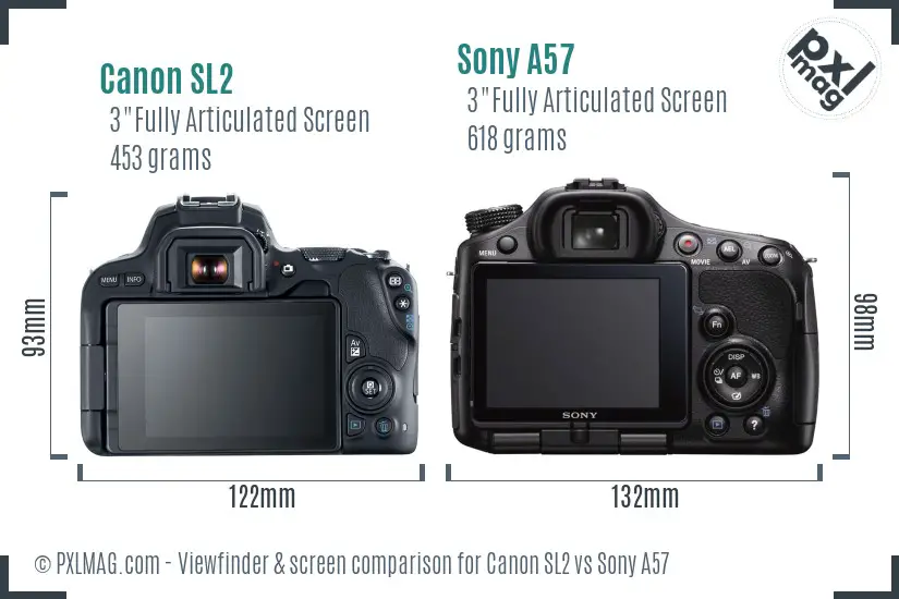 Canon SL2 vs Sony A57 Screen and Viewfinder comparison
