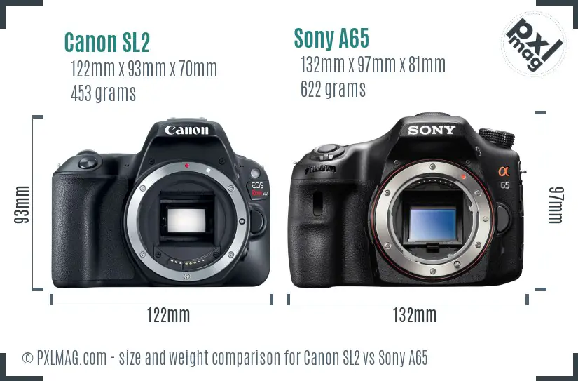 Canon SL2 vs Sony A65 size comparison