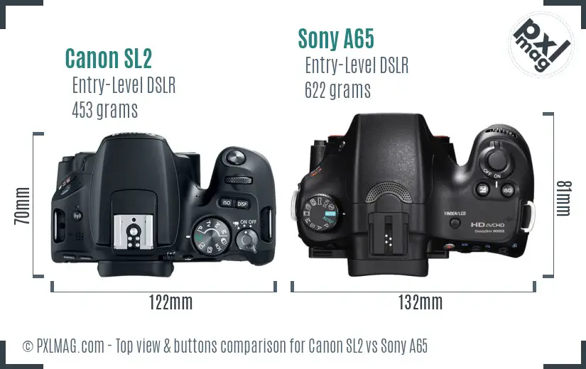 Canon SL2 vs Sony A65 top view buttons comparison