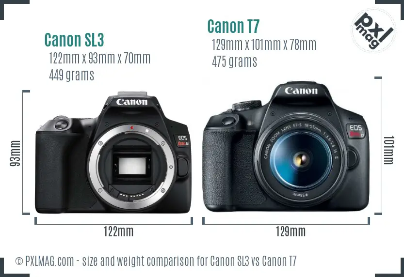 Canon SL3 vs Canon T7 size comparison