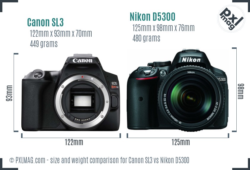 Canon SL3 vs Nikon D5300 size comparison