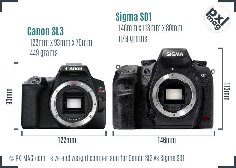 Canon SL3 vs Sigma SD1 size comparison