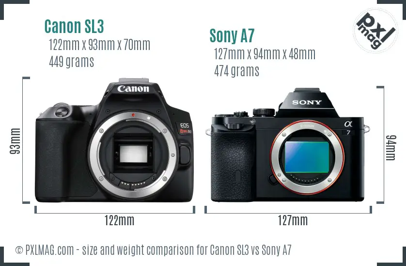 Canon SL3 vs Sony A7 size comparison