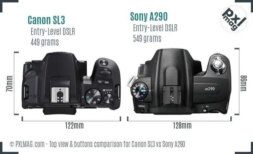 Canon SL3 vs Sony A290 top view buttons comparison
