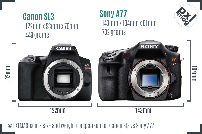 Canon SL3 vs Sony A77 size comparison