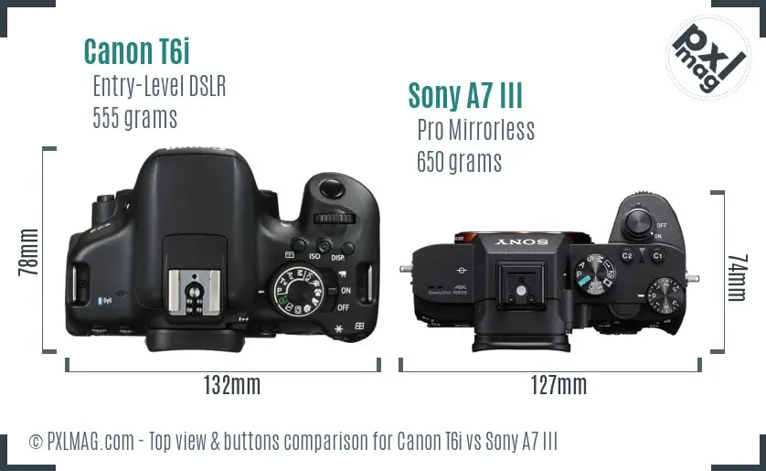 Canon T6i vs Sony A7 III top view buttons comparison