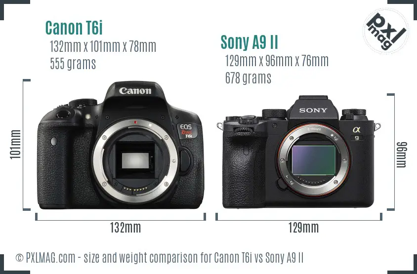 Canon T6i vs Sony A9 II size comparison