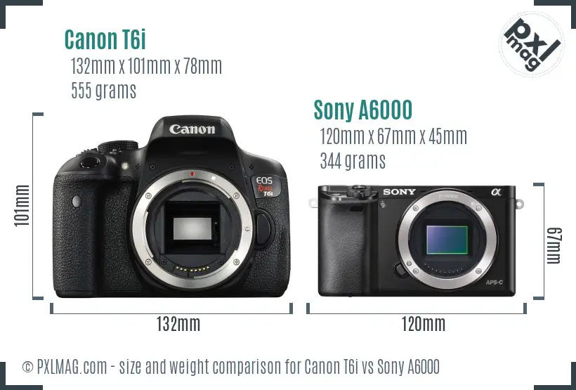 Canon T6i vs Sony A6000 size comparison