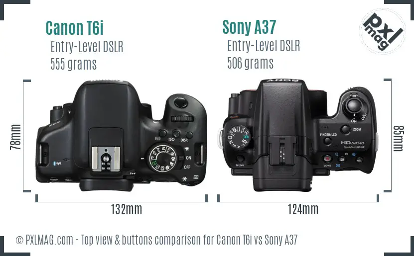 Canon T6i vs Sony A37 top view buttons comparison
