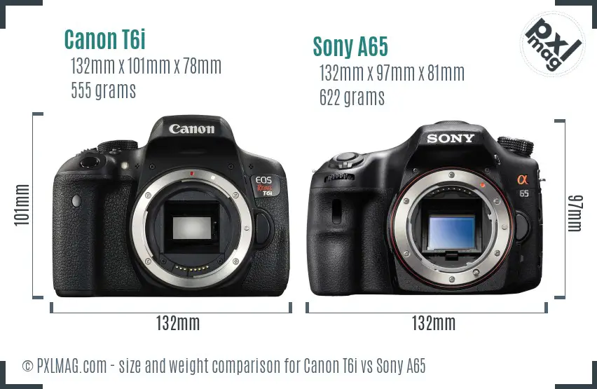Canon T6i vs Sony A65 size comparison