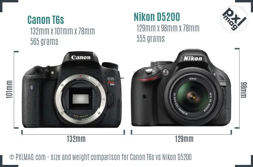 Canon T6s vs Nikon D5200 size comparison