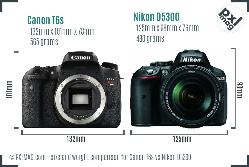 Canon T6s vs Nikon D5300 size comparison