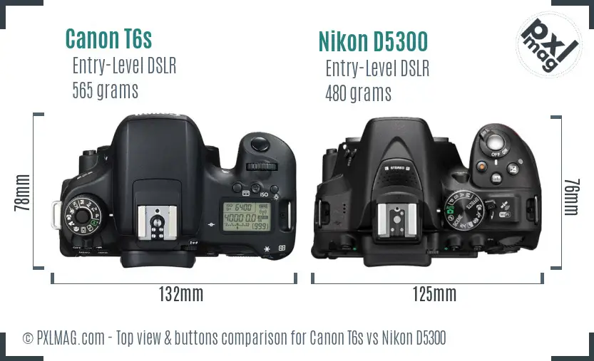 Canon T6s vs Nikon D5300 top view buttons comparison