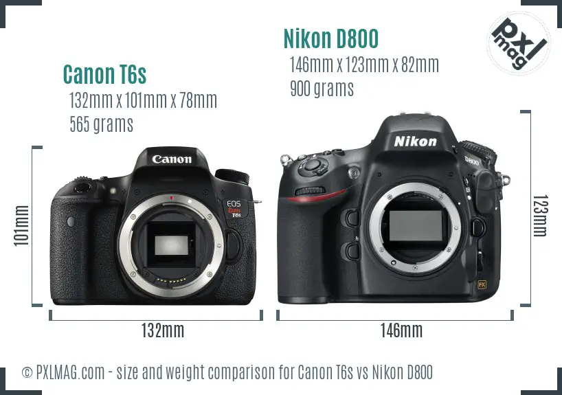 Canon T6s vs Nikon D800 size comparison