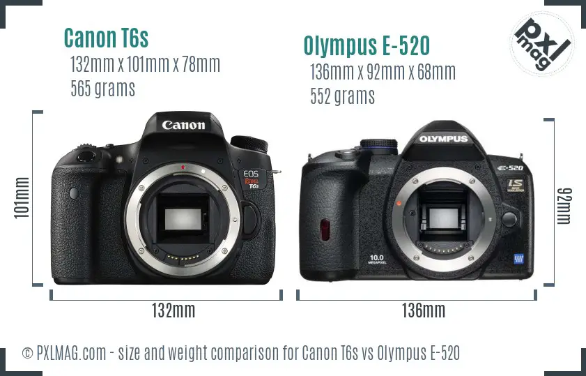 Canon T6s vs Olympus E-520 size comparison