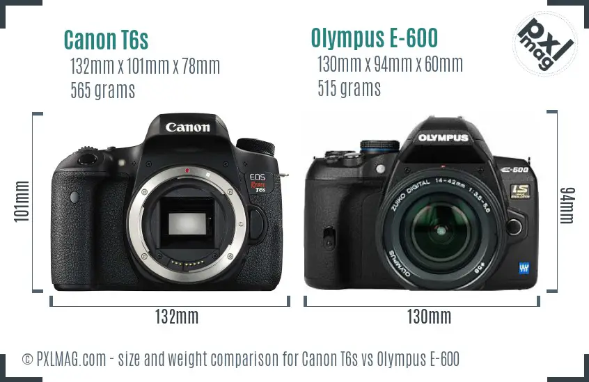 Canon T6s vs Olympus E-600 size comparison