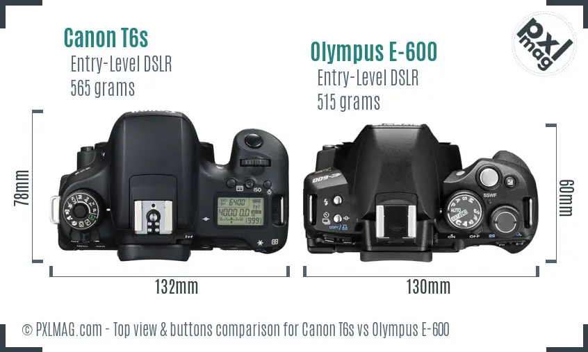Canon T6s vs Olympus E-600 top view buttons comparison