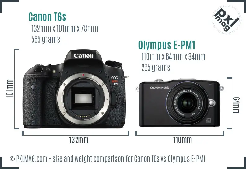 Canon T6s vs Olympus E-PM1 size comparison
