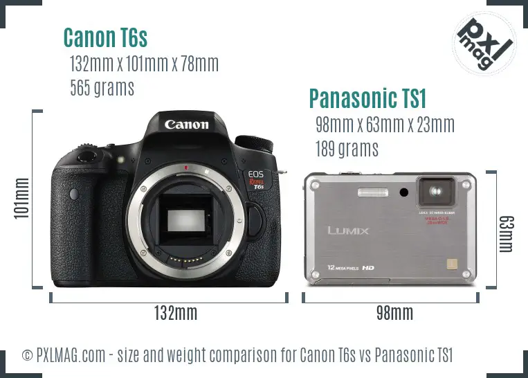 Canon T6s vs Panasonic TS1 size comparison