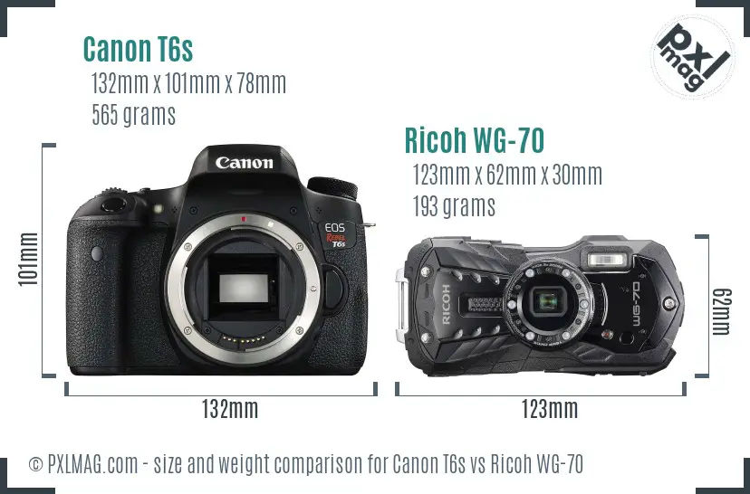 Canon T6s vs Ricoh WG-70 size comparison